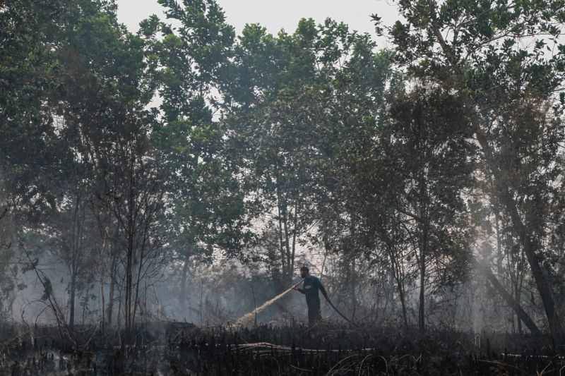 1.301 Hektare Lahan Terbakar, Barsel Perpanjang Tanggap Darurat Karhutla hingga 2 November